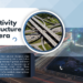Road Connectivity Infrastructure of Dholera